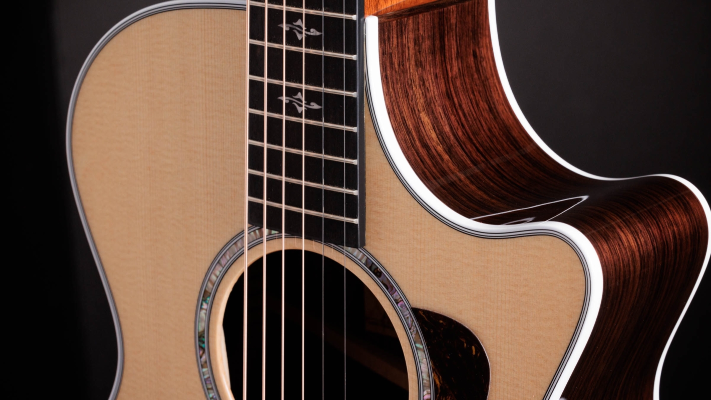 412ce Indian Rosewood Acoustic-Electric Guitar | Taylor Guitars
